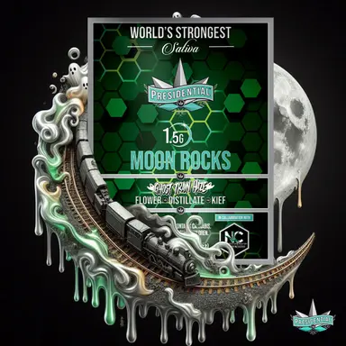 PRESIDENTIAL MOON ROCK PRESIDENTIAL MOON ROCK