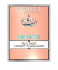 PRESIDENTIAL MOON ROCK
